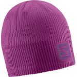 Gorro Salomon Logo