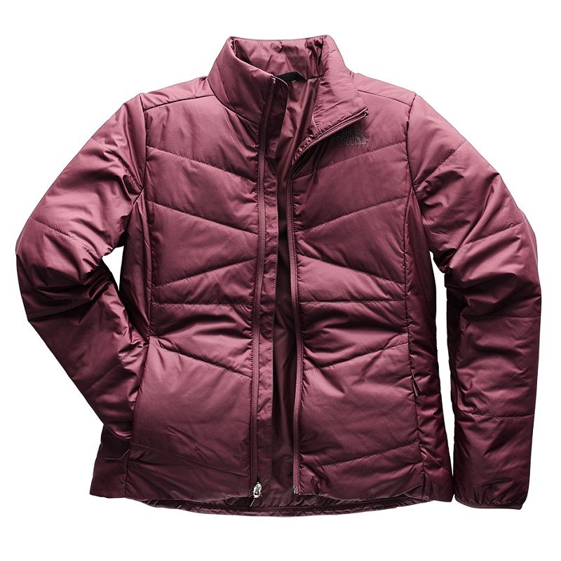 jaqueta the north face feminina