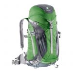 Mochila Deuter ACT Trail 24